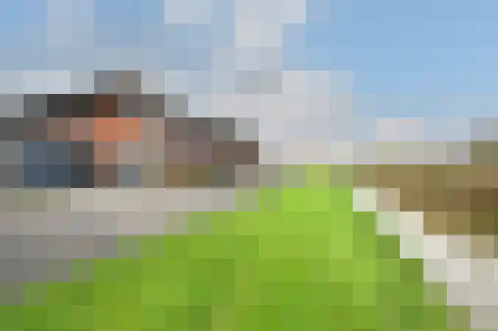 Zinkschaar 13 Nieuwkoop thumbnail 27