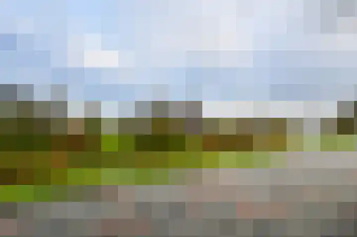 Zinkschaar 13 Nieuwkoop thumbnail 28
