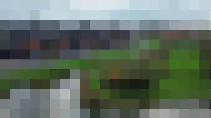 Zinkschaar 13 Nieuwkoop thumbnail 29