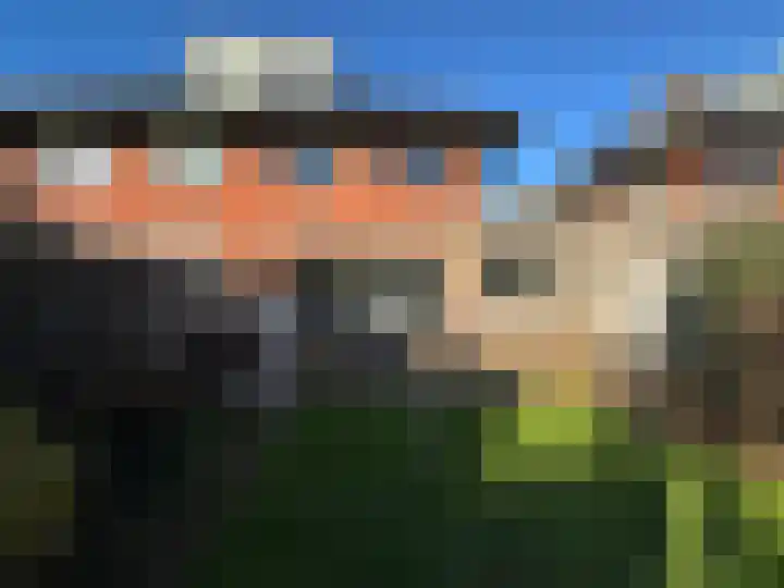 Zinkschaar 13 Nieuwkoop thumbnail 30