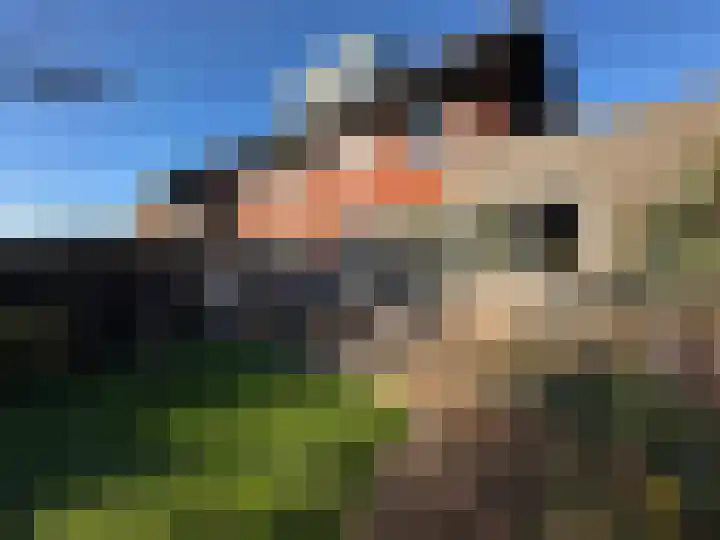 Zinkschaar 13 Nieuwkoop thumbnail 31