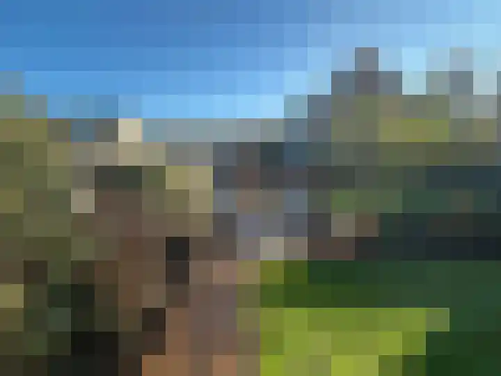 Zinkschaar 13 Nieuwkoop thumbnail 32