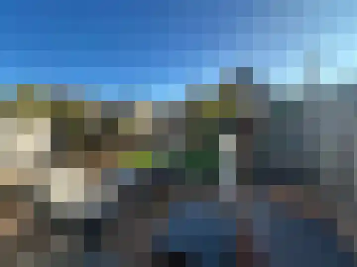 Zinkschaar 13 Nieuwkoop thumbnail 33