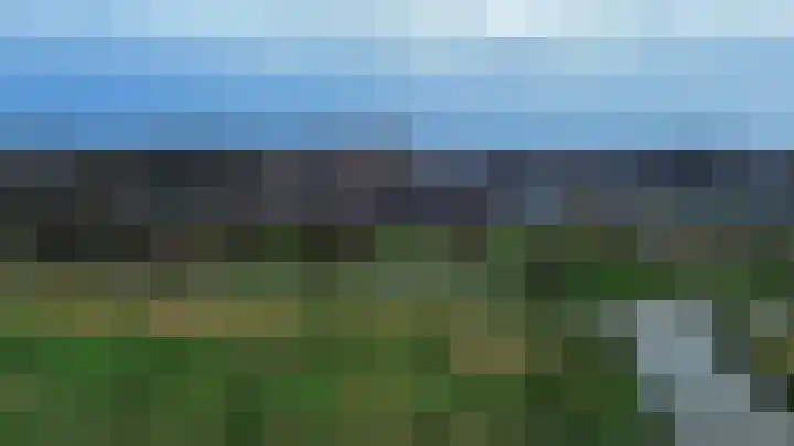 Zinkschaar 13 Nieuwkoop thumbnail 35