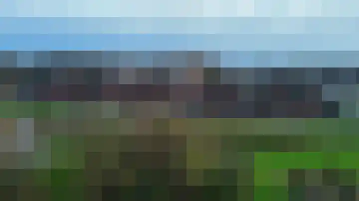 Zinkschaar 13 Nieuwkoop thumbnail 37