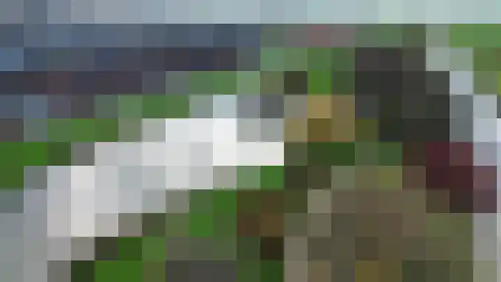 Zinkschaar 13 Nieuwkoop thumbnail 39