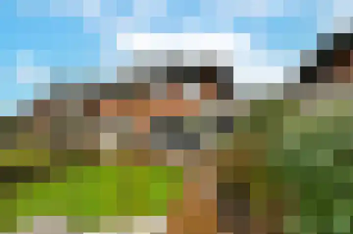 Zinkschaar 13 Nieuwkoop thumbnail 4