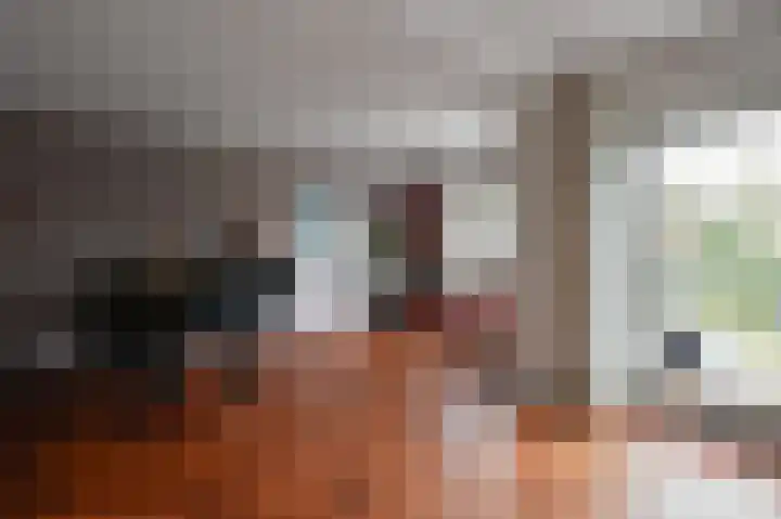 Zinkschaar 13 Nieuwkoop thumbnail 6
