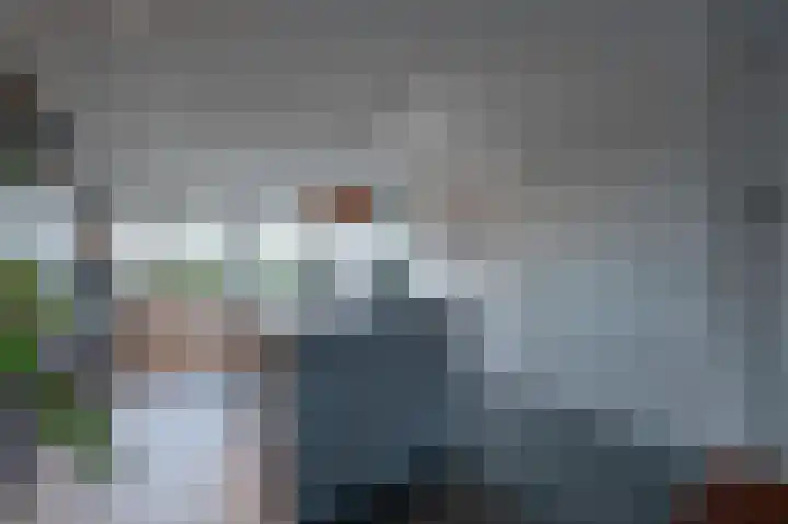 Zinkschaar 13 Nieuwkoop thumbnail 8