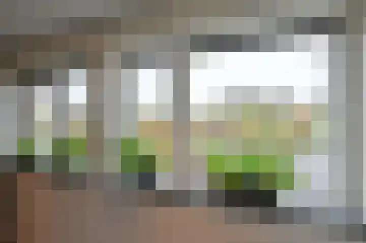 Zinkschaar 13 Nieuwkoop thumbnail 9