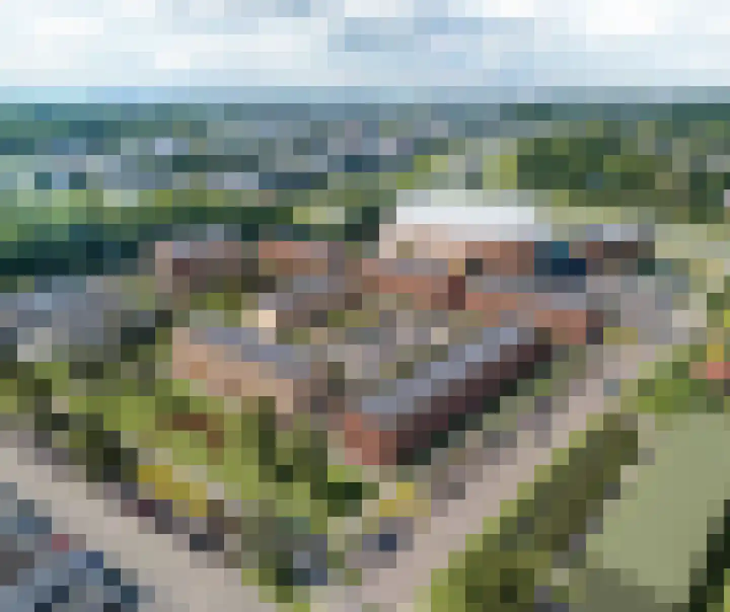 Zinkseweg 2 Spijkenisse thumbnail 6