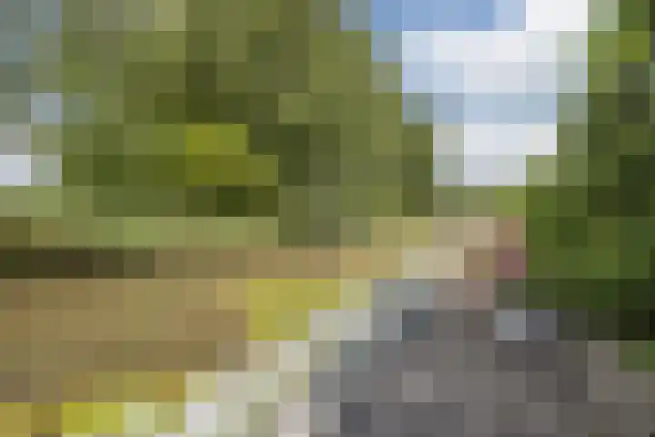 Zinkweg 138 Oud-Beijerland thumbnail 30
