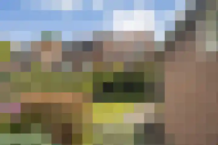 Zinkweg 138 Oud-Beijerland thumbnail 32