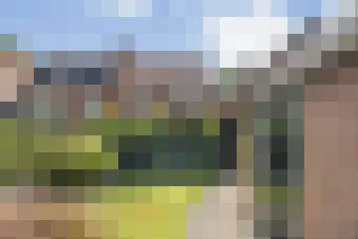 Zinkweg 138 Oud-Beijerland thumbnail 33