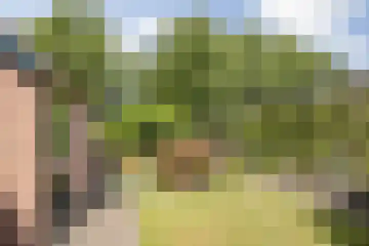 Zinkweg 138 Oud-Beijerland thumbnail 35