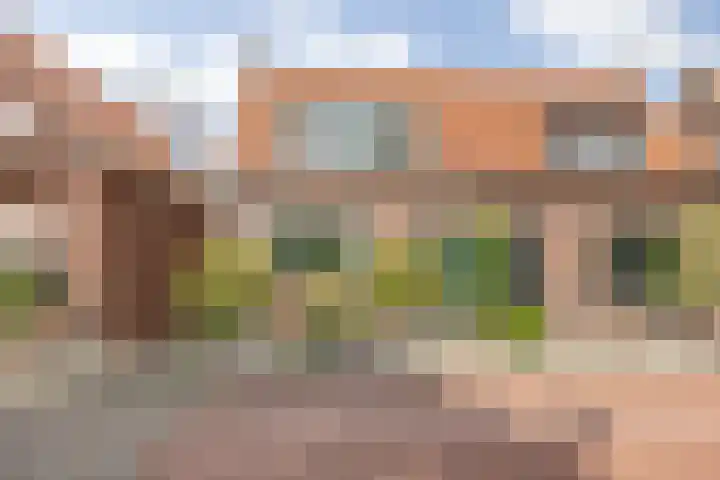Zinkweg 138 Oud-Beijerland thumbnail 36