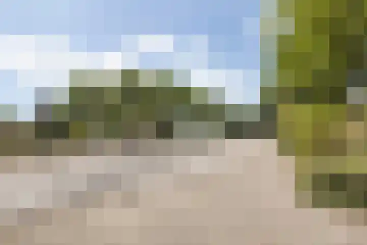 Zinkweg 138 Oud-Beijerland thumbnail 39