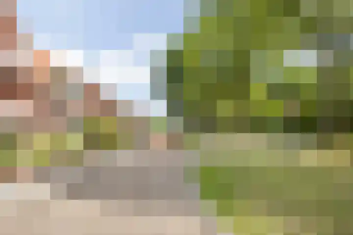 Zinkweg 138 Oud-Beijerland thumbnail 40