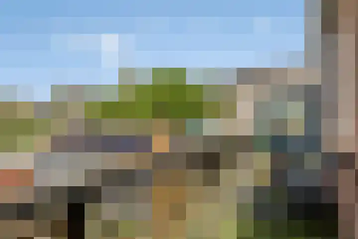 Zinkweg 153 Oud-Beijerland thumbnail 15