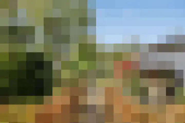 Zinkweg 153 Oud-Beijerland thumbnail 30