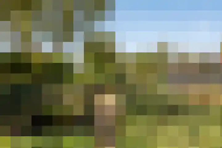 Zinkweg 153 Oud-Beijerland thumbnail 31