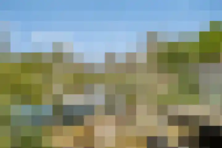 Zinkweg 153 Oud-Beijerland thumbnail 32