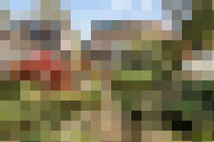 Zinkweg 153 Oud-Beijerland thumbnail 33