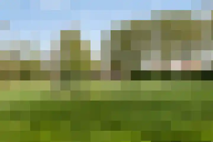 Zinkweg 153 Oud-Beijerland thumbnail 36