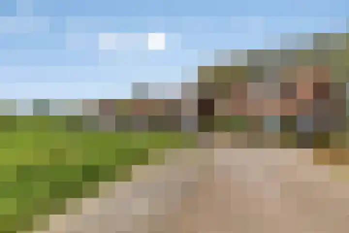 Zinkweg 153 Oud-Beijerland thumbnail 4