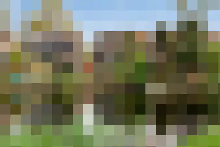 Zinkweg 153 Oud-Beijerland thumbnail 41