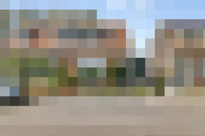 Zinkweg 153 Oud-Beijerland thumbnail 5