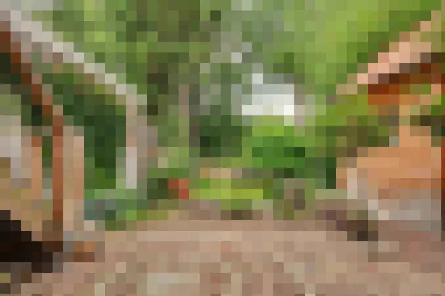 Zinkweg 159 Oud-Beijerland thumbnail 31