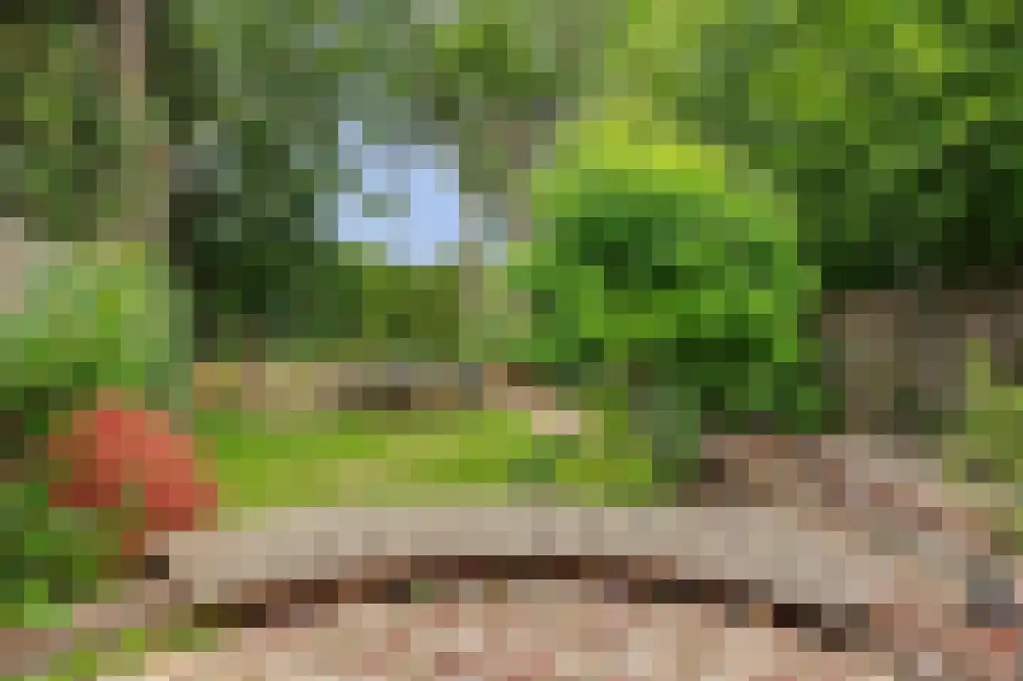 Zinkweg 159 Oud-Beijerland thumbnail 32