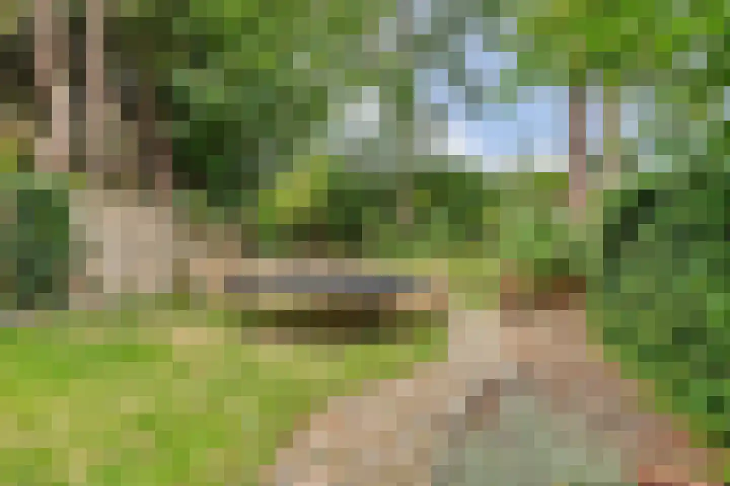 Zinkweg 159 Oud-Beijerland thumbnail 33