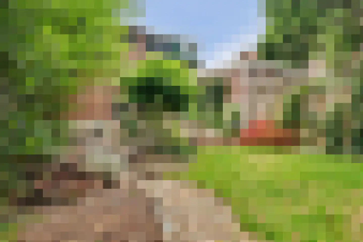 Zinkweg 159 Oud-Beijerland thumbnail 34