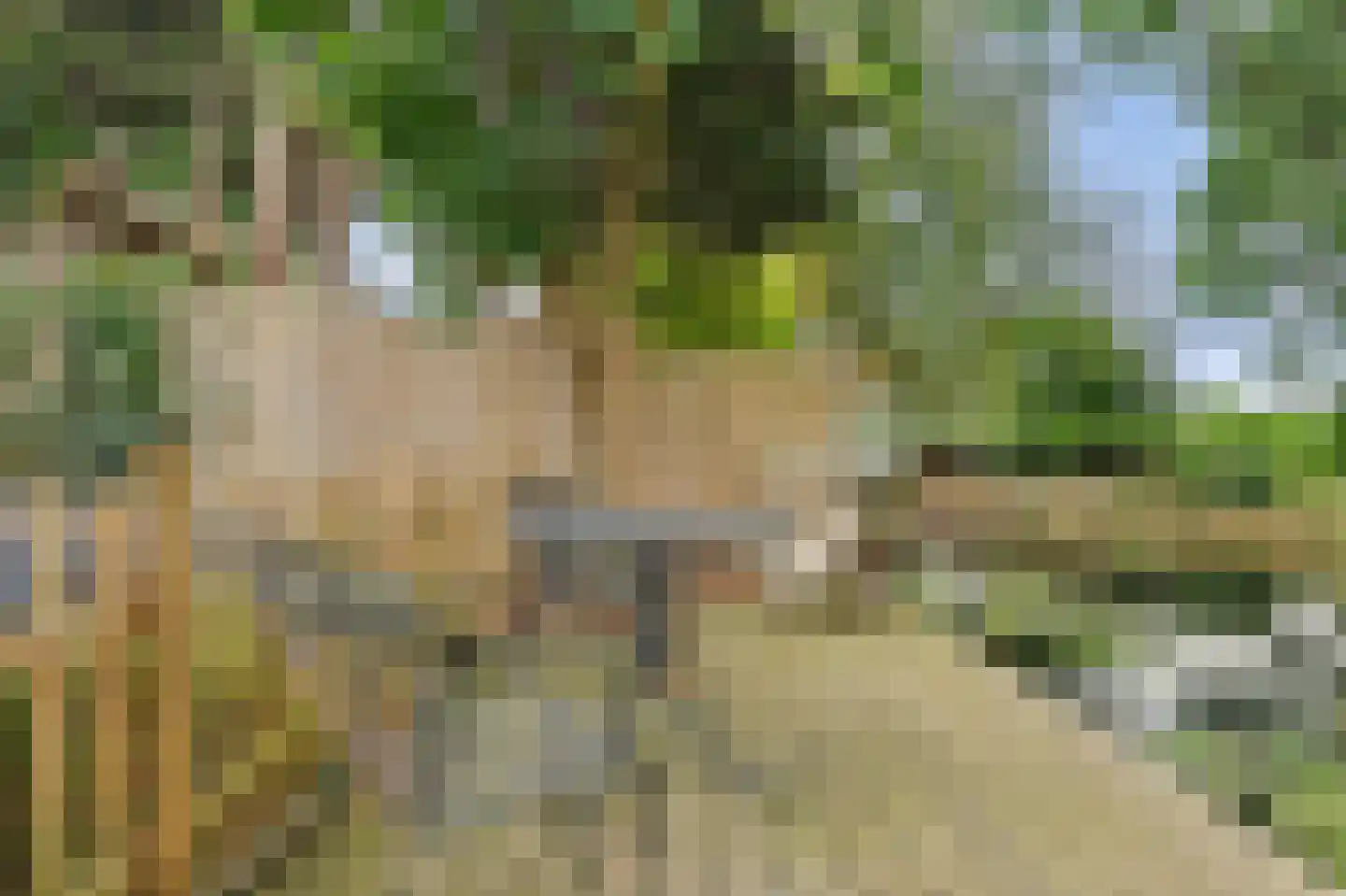 Zinkweg 159 Oud-Beijerland thumbnail 35