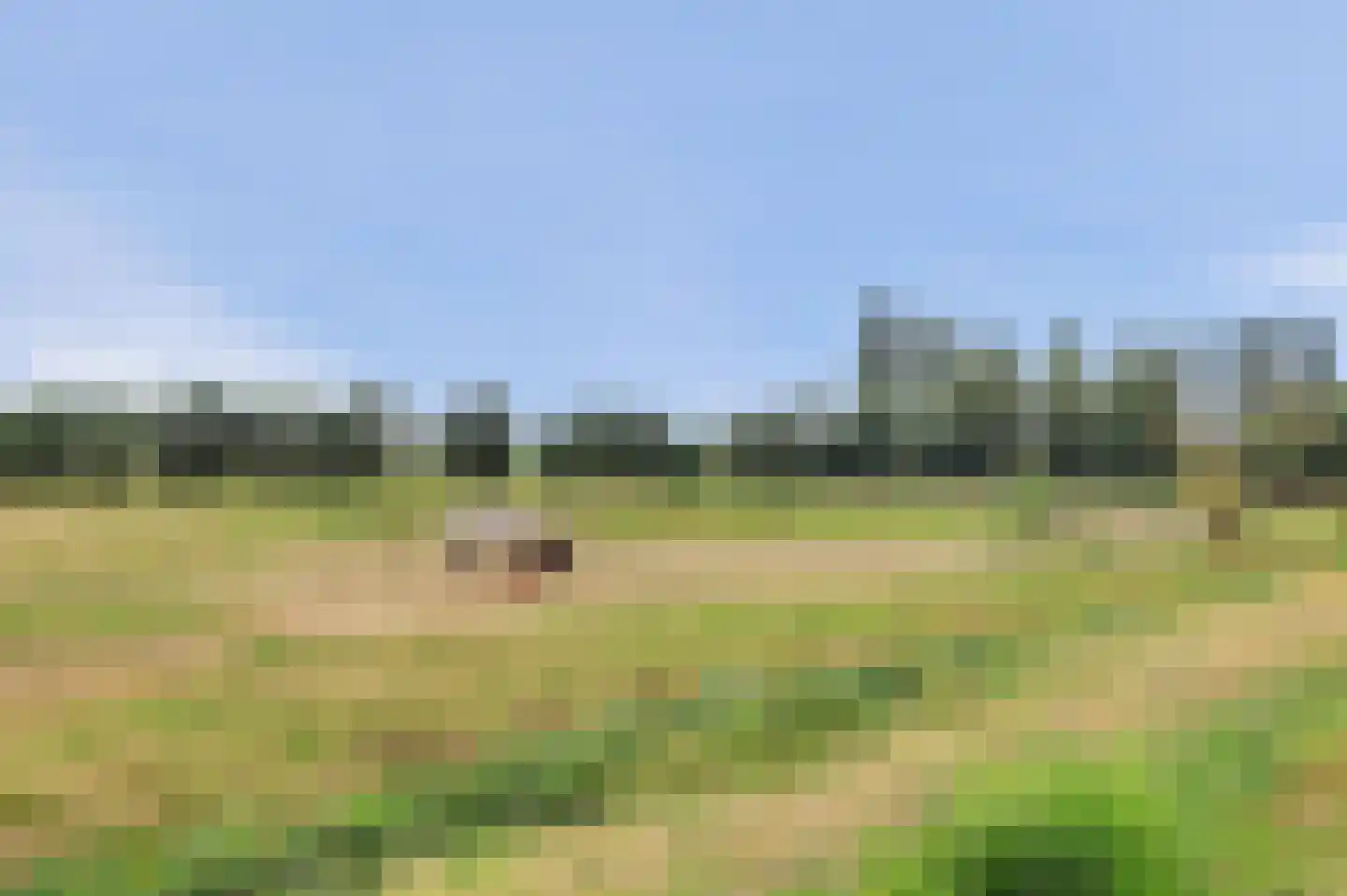 Zinkweg 159 Oud-Beijerland thumbnail 42
