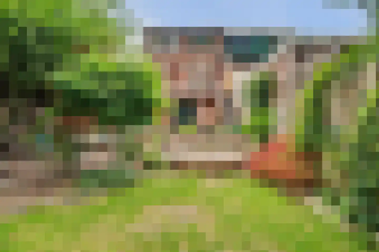Zinkweg 159 Oud-Beijerland thumbnail 6