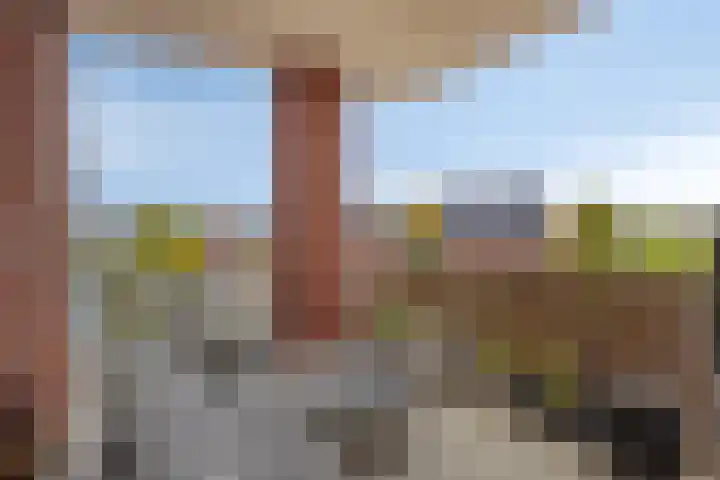 Zinkweg 2 C Oud-Beijerland thumbnail 18