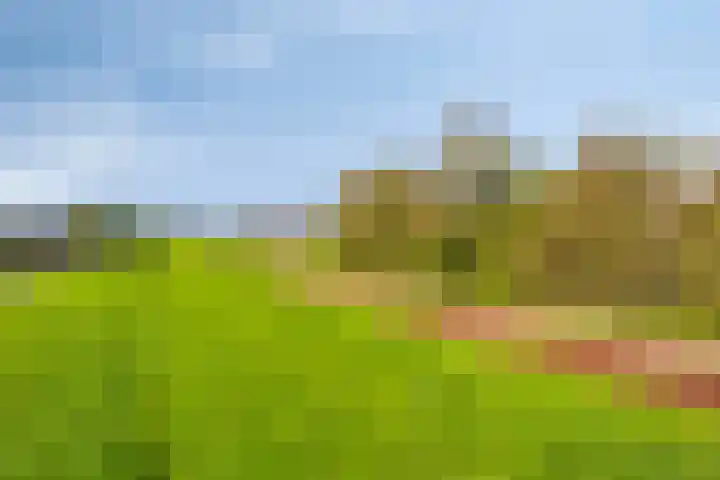 Zinkweg 2 C Oud-Beijerland thumbnail 31
