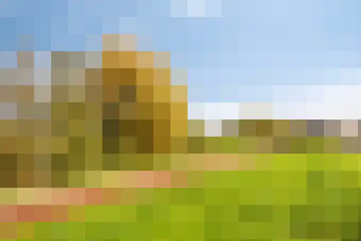 Zinkweg 2 C Oud-Beijerland thumbnail 32