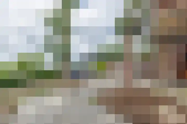Zinkweg 208 Oud-Beijerland thumbnail 34