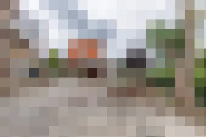 Zinkweg 208 Oud-Beijerland thumbnail 36