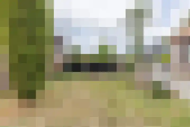 Zinkweg 208 Oud-Beijerland thumbnail 41