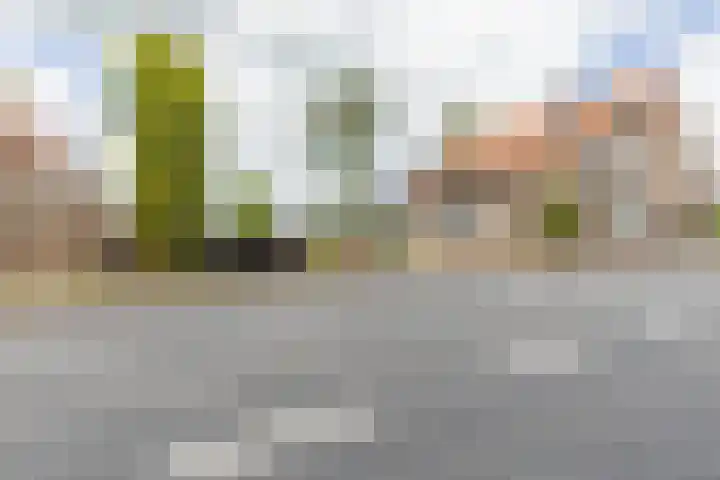 Zinkweg 208 Oud-Beijerland thumbnail 45