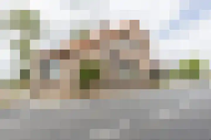 Zinkweg 208 Oud-Beijerland thumbnail 49