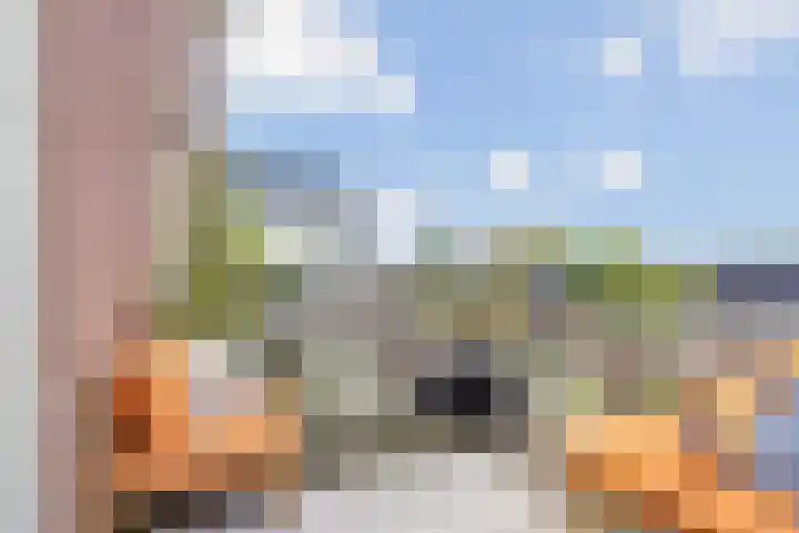 Zinkweg 3 B Oud-Beijerland thumbnail 14
