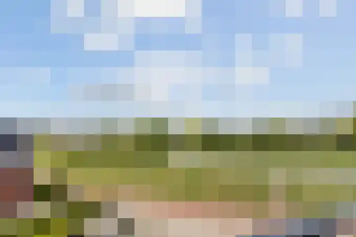 Zinkweg 3 B Oud-Beijerland thumbnail 16