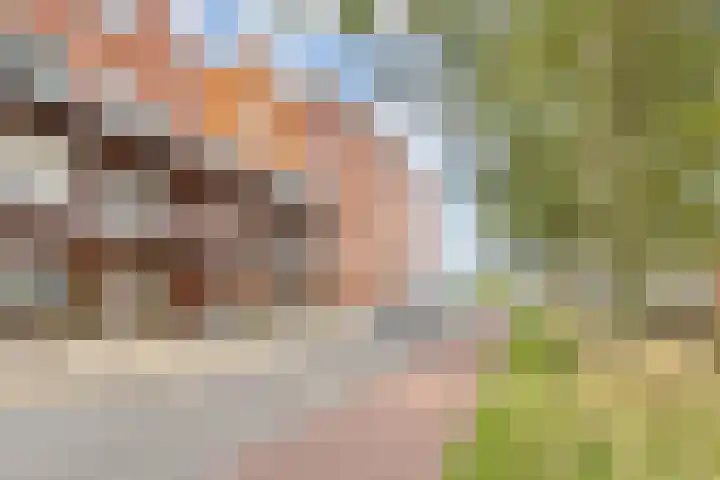 Zinkweg 3 B Oud-Beijerland thumbnail 25