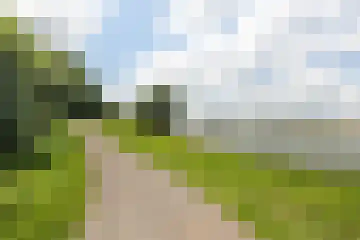 Zinkweg 3 B Oud-Beijerland thumbnail 30